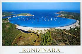 Rondinara